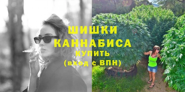 метадон Вяземский