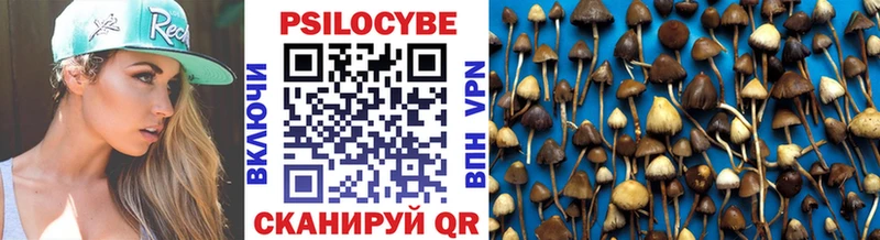 хочу наркоту  Ивангород  Псилоцибиновые грибы прущие грибы 