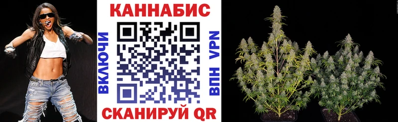 где купить мега ONION Каннабис семена Ивангород